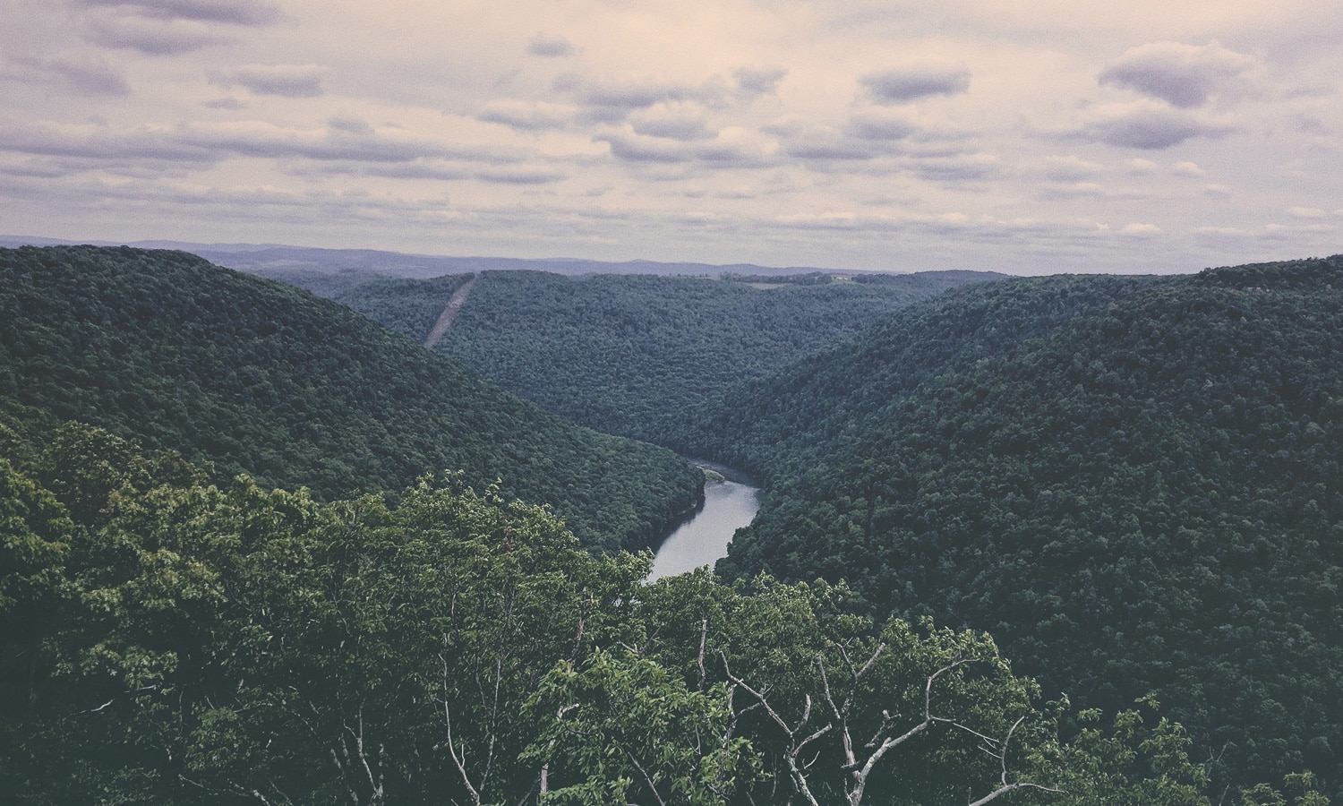 Drug Overdoses Kill More People In West Virginia Than COVID-19