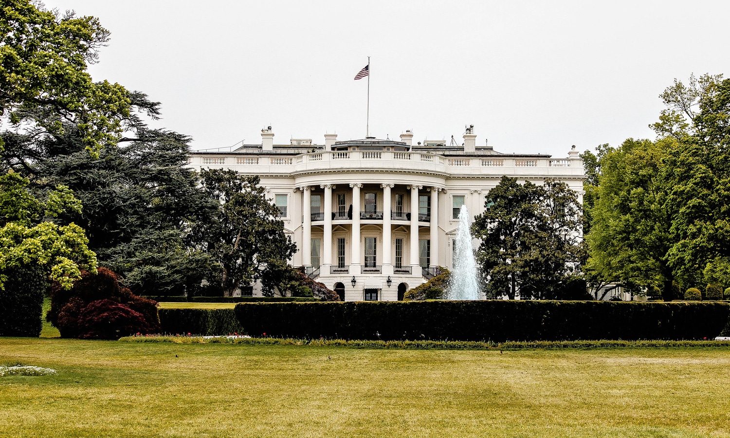 Cannabis Legalization Does Not Depend On The Presidential Election