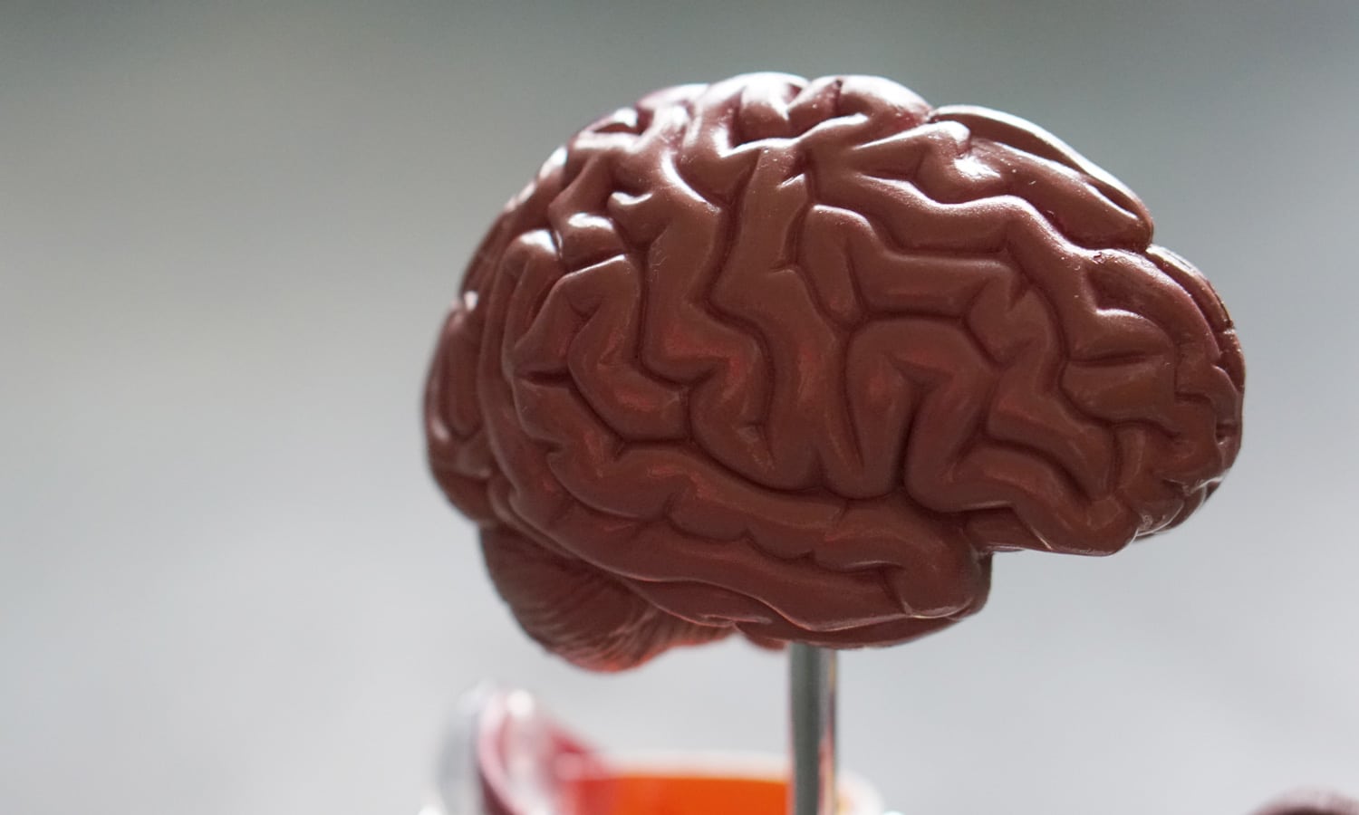 CBD And Blood Flow: What The Brain Wants You To Know