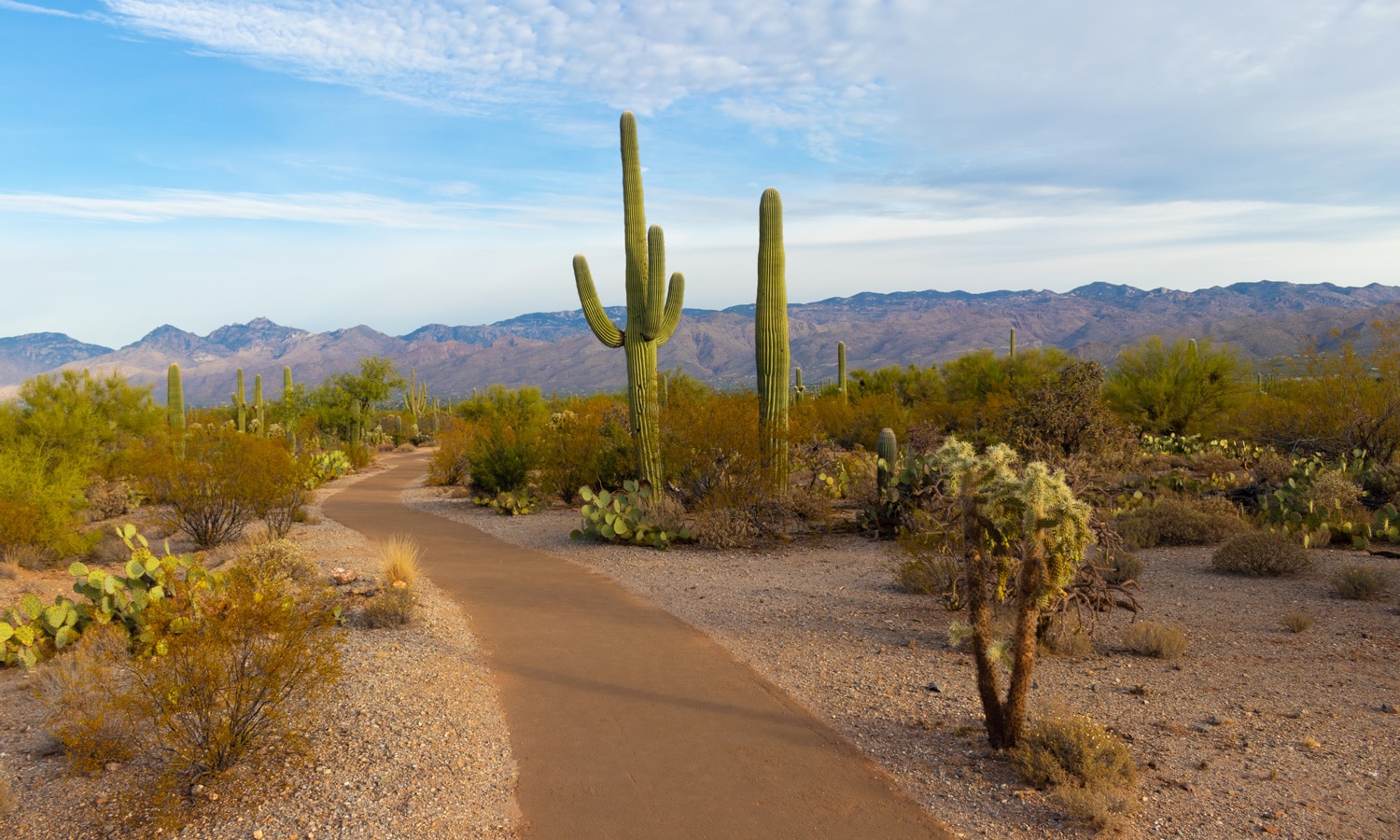 Possibility of Legal Marijuana Already Upsetting Arizona Lawmakers
