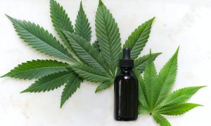 green cannabis leaves and black glass drops bottle