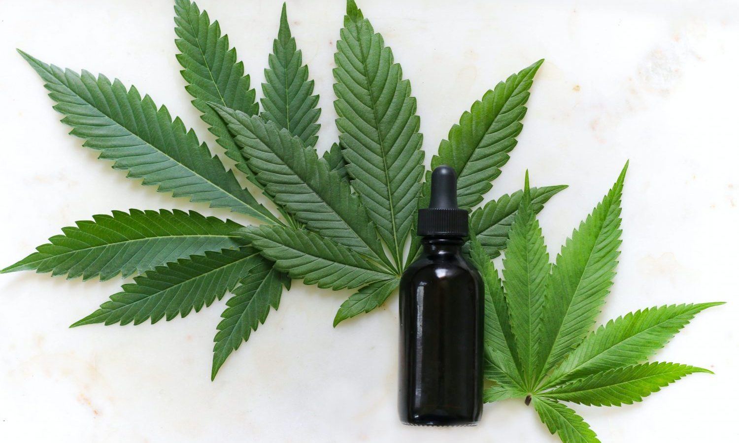 green cannabis leaves and black glass drops bottle