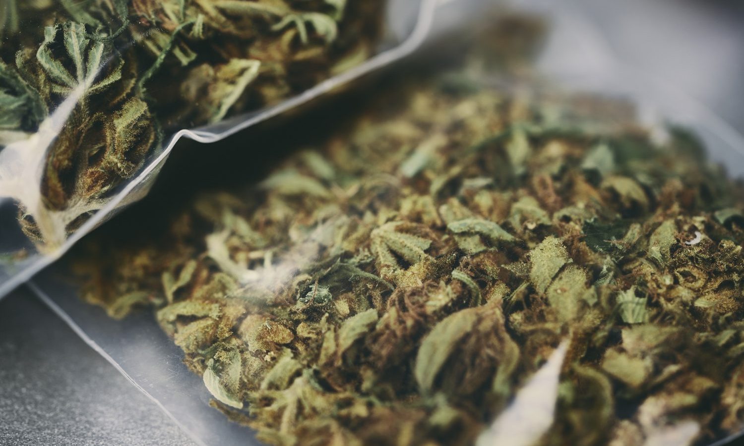 The Progressive Impact Psychedelics & Cannabis Are Having Within The Medical Community