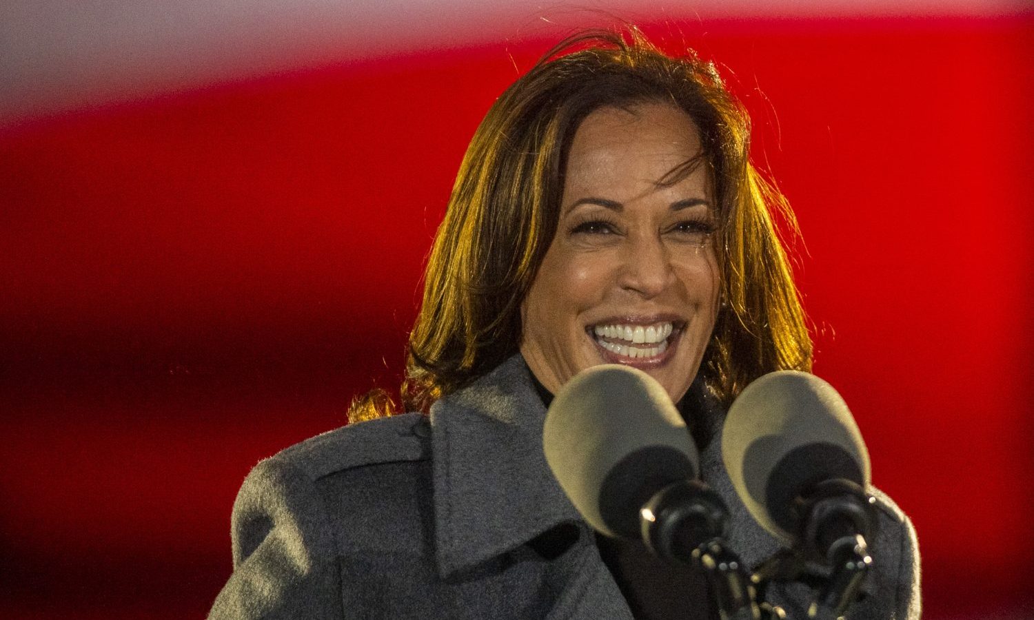 Kamala Harris's Thanksgiving Turkey Recipe Goes Viral On TikTok
