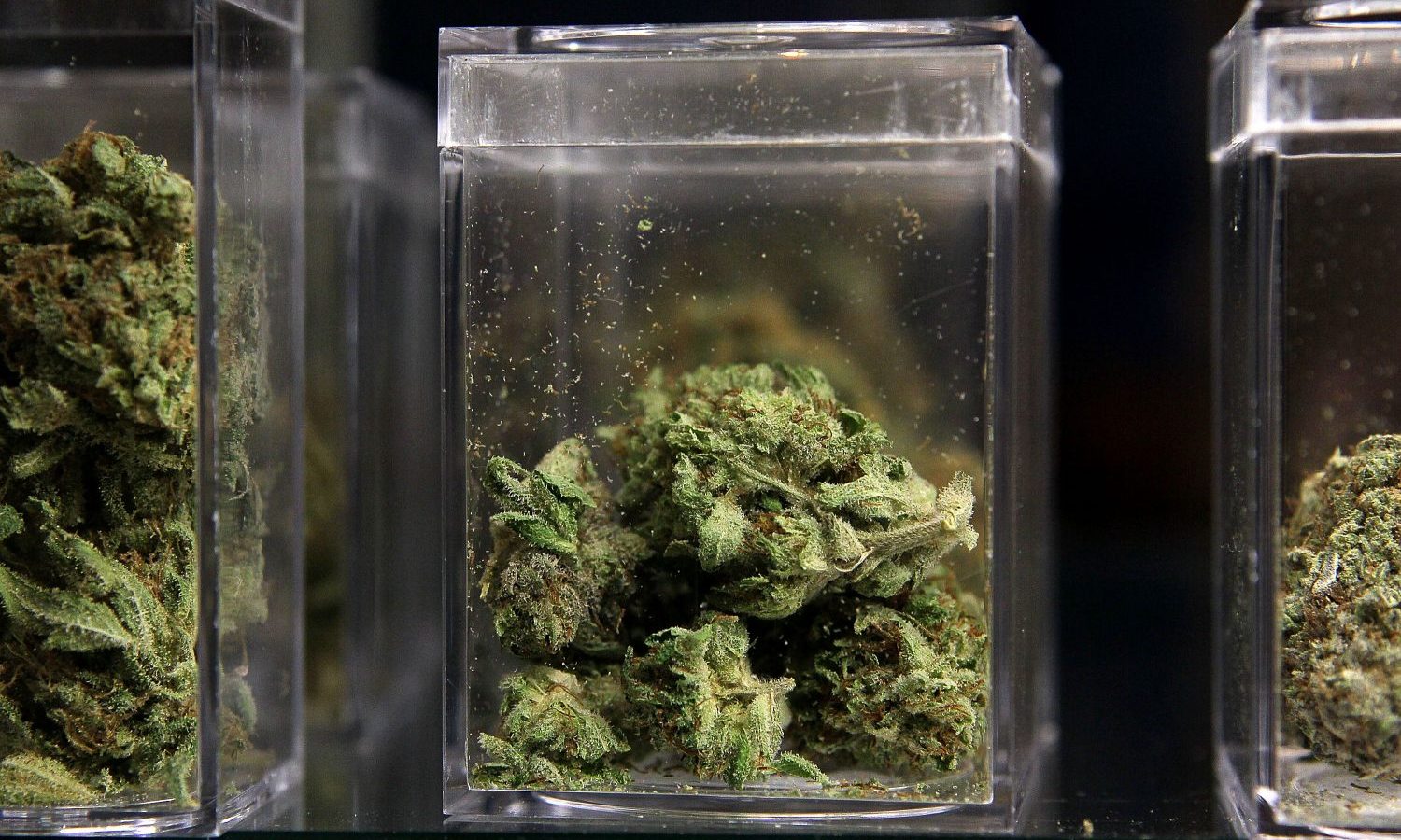 Marijuana Is Biggest Winner In The 2020 Election