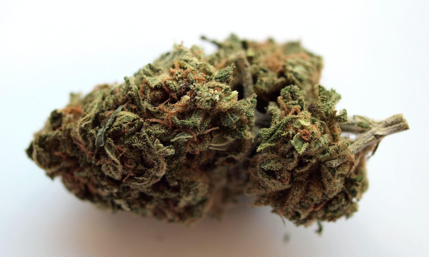 The Top Movers And Shakers In Cannabis