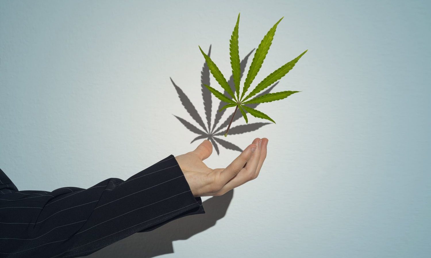 Cannabis Job Outlook In 2021 Is 'Strong' Despite Suffering Layoffs Throughout 2020