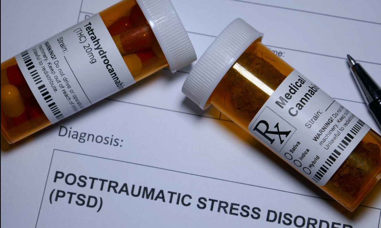 PTSD, Opiates, Cannabis, And The Journey Towards Recovery
