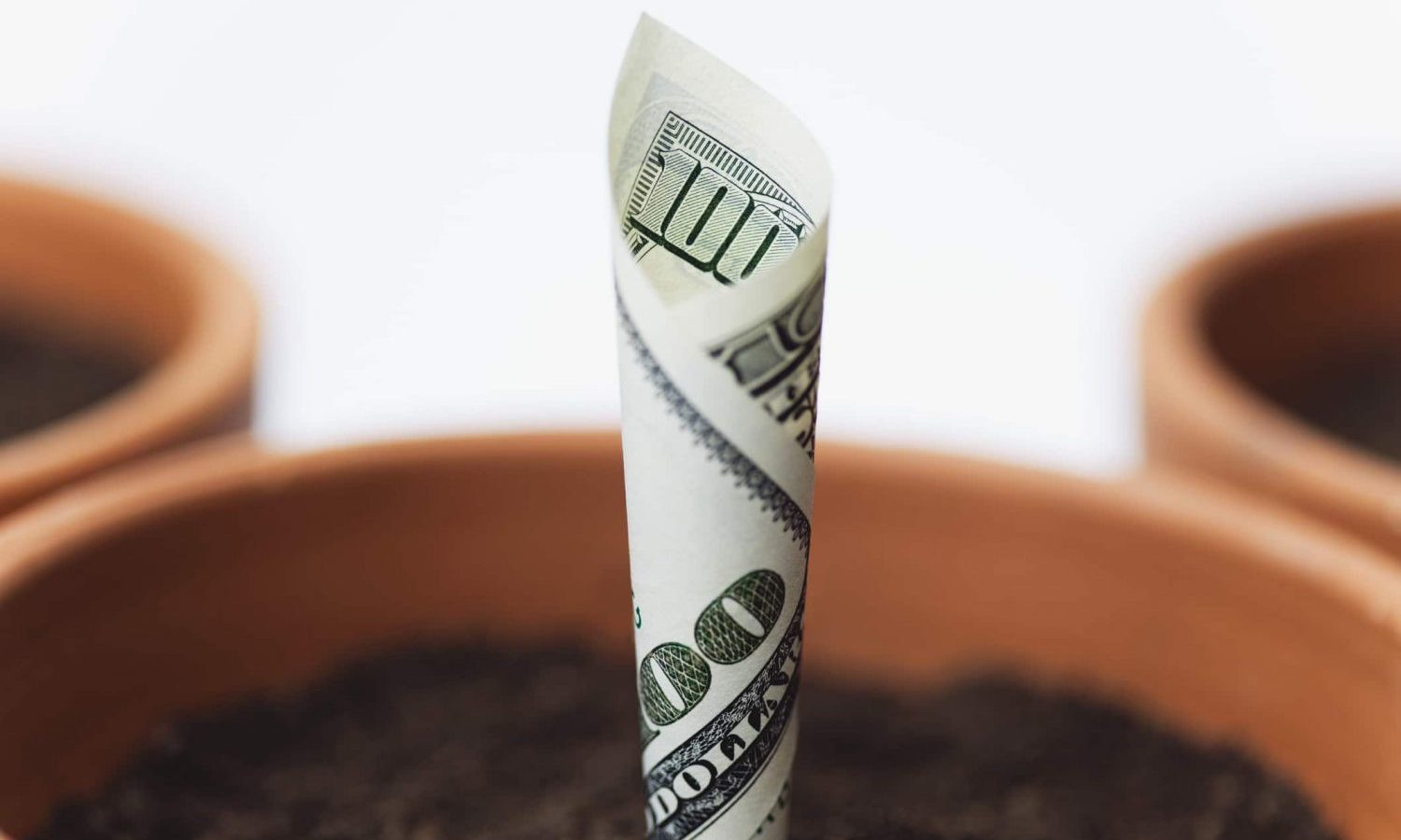 With Biden In White House, Cannabis Pros Expect 'Fresh Influx Of Investment Dollars'