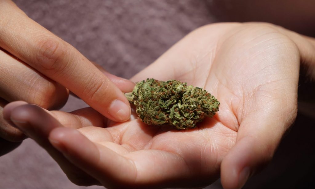 Study Finds Cannabis Use At Any Age Can Ruin People’s Lives