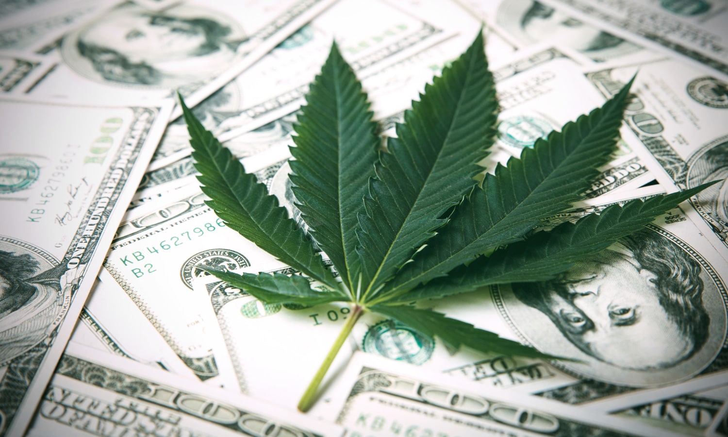 The Rise Of Medical Marijuana- 5 Financial Forecasts