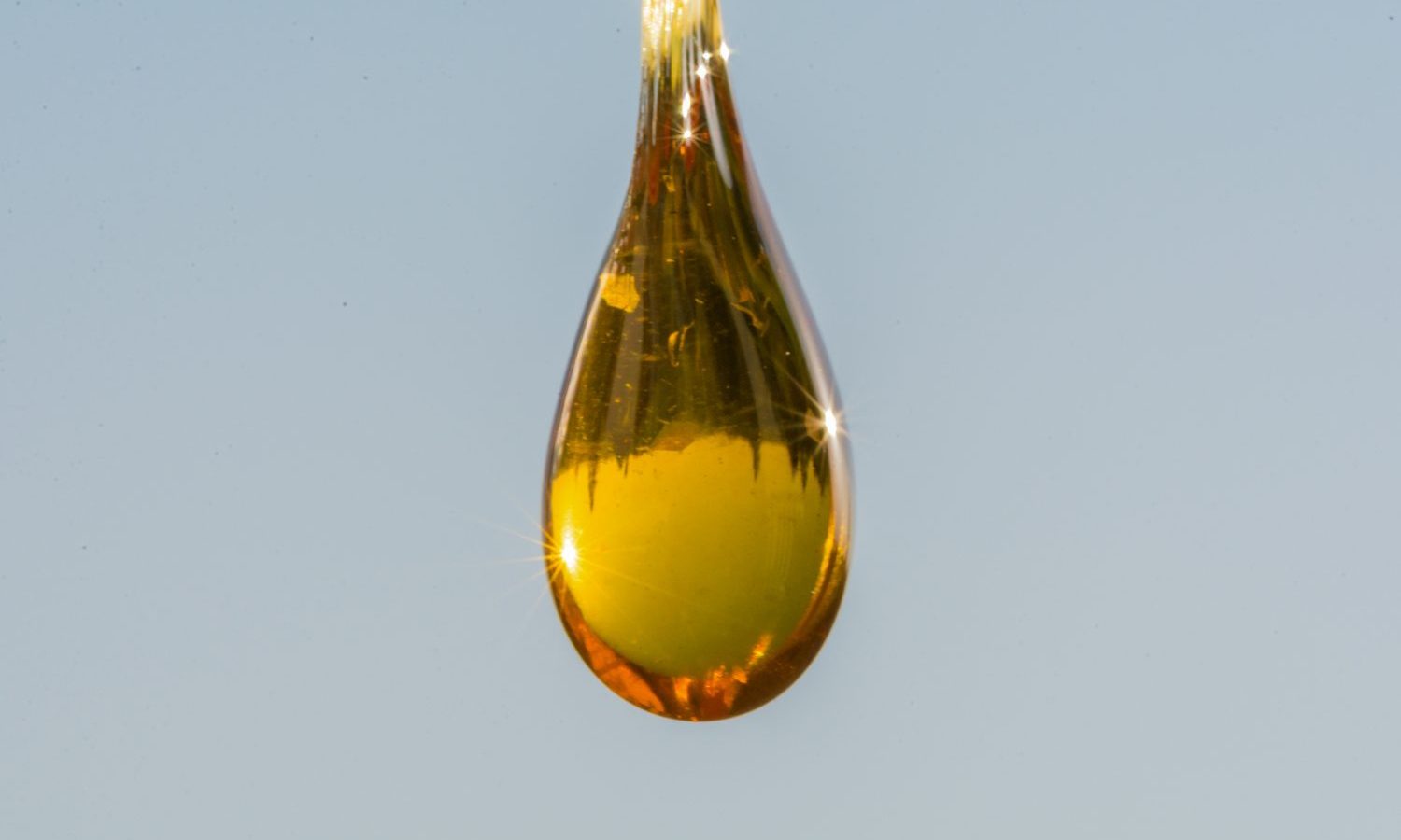 Ice Water Cannabis Extraction Explained And How Can You Do It At Home
