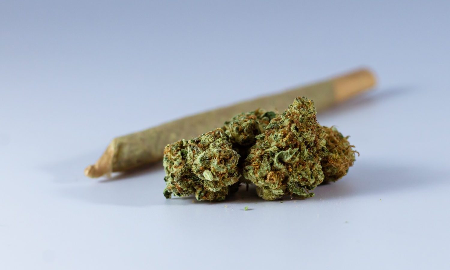 The Cannabis Pre-Roll Hype In 2020 Was Real
