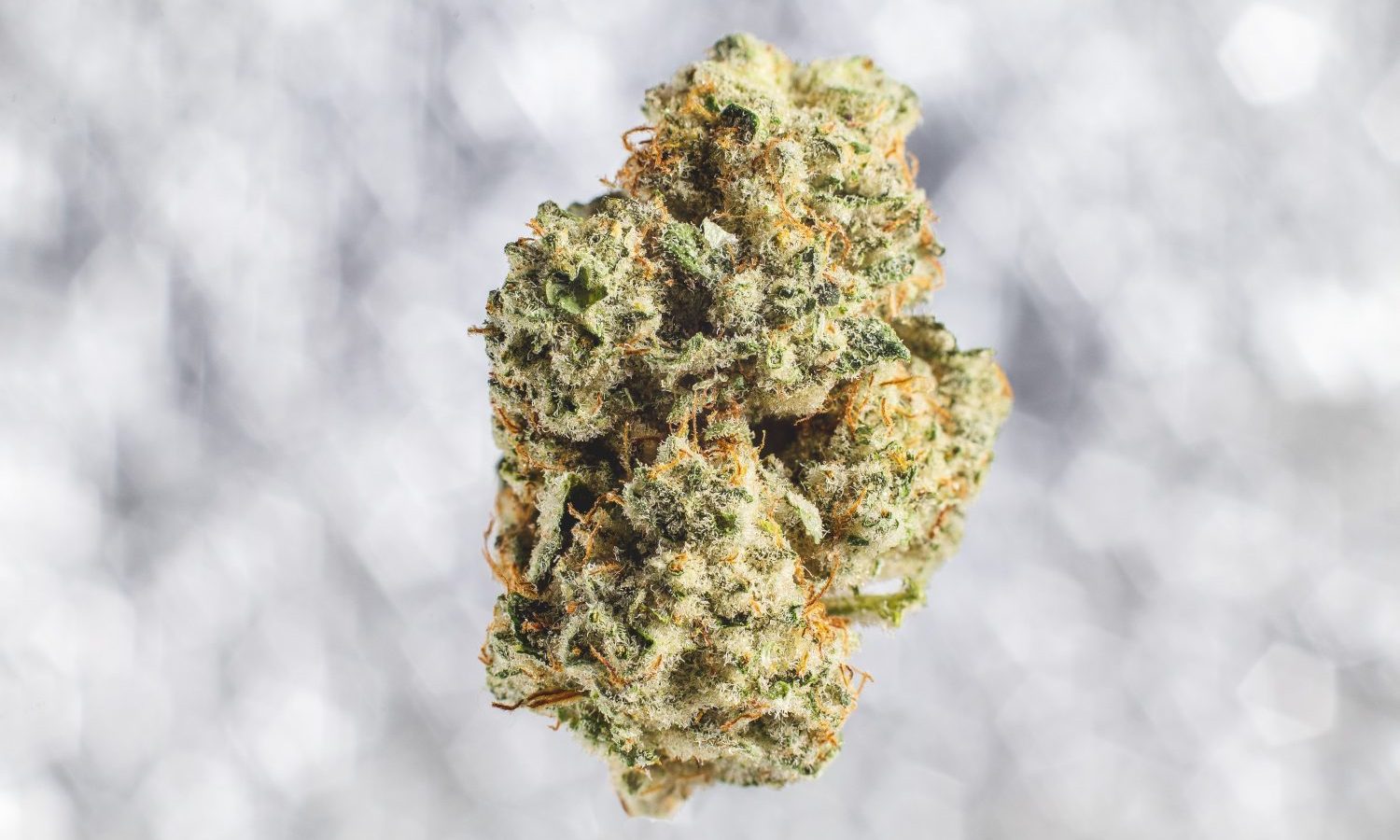 The Danger Of Synthetic Cannabinoids