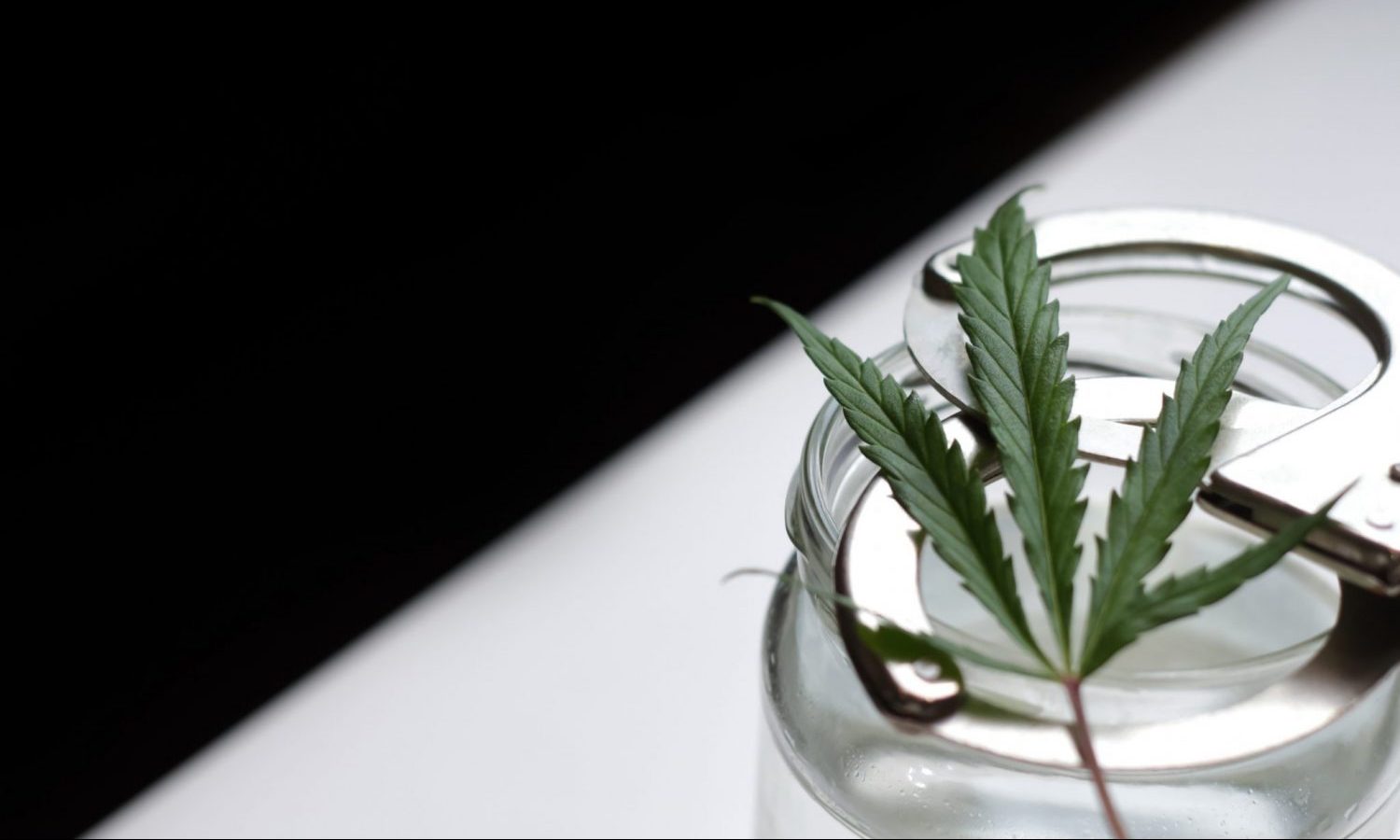 Marijuana Reform: Free Allen Russell