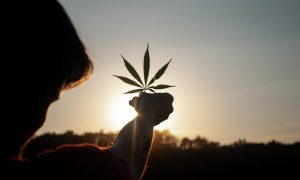 Marijuana Can Be Addictive — Here's How To Spot The Signs Of Cannabis Use Disorder
