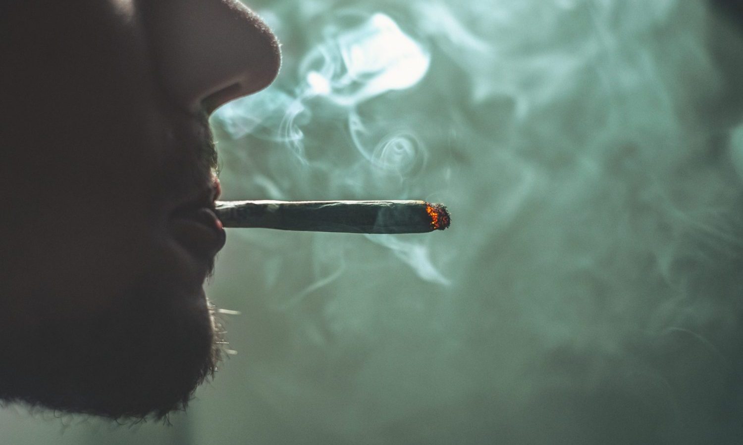 Scientists Issue Guidelines Over Safe Cannabis Use