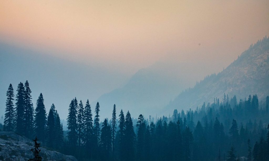 wildfires