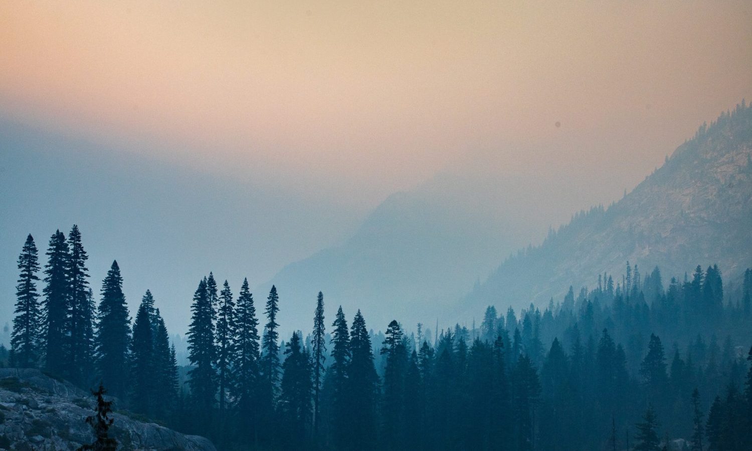 wildfires