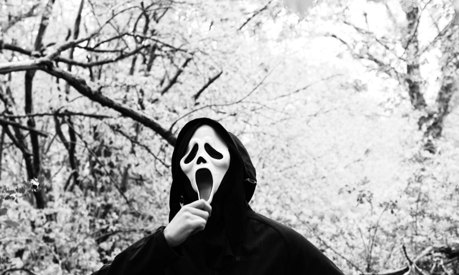 Need Relief From Stress & Anxiety? Try Watching A Horror Movie