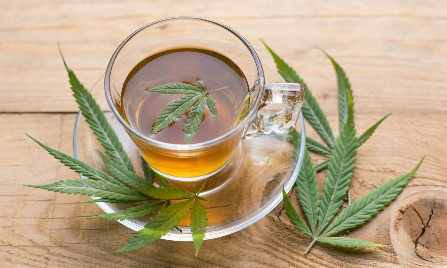 cannabis tea