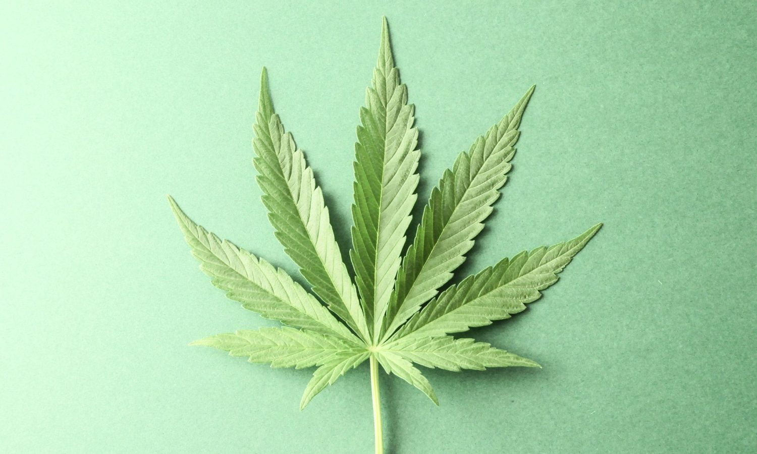 Is Marijuana Messing With The Environment