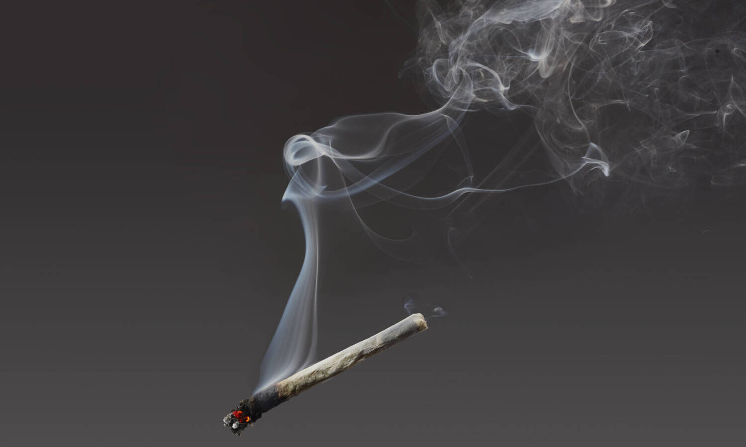 7 Common Myths About Marijuana Debunked