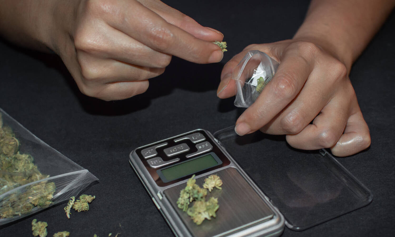 marijuana weight scale