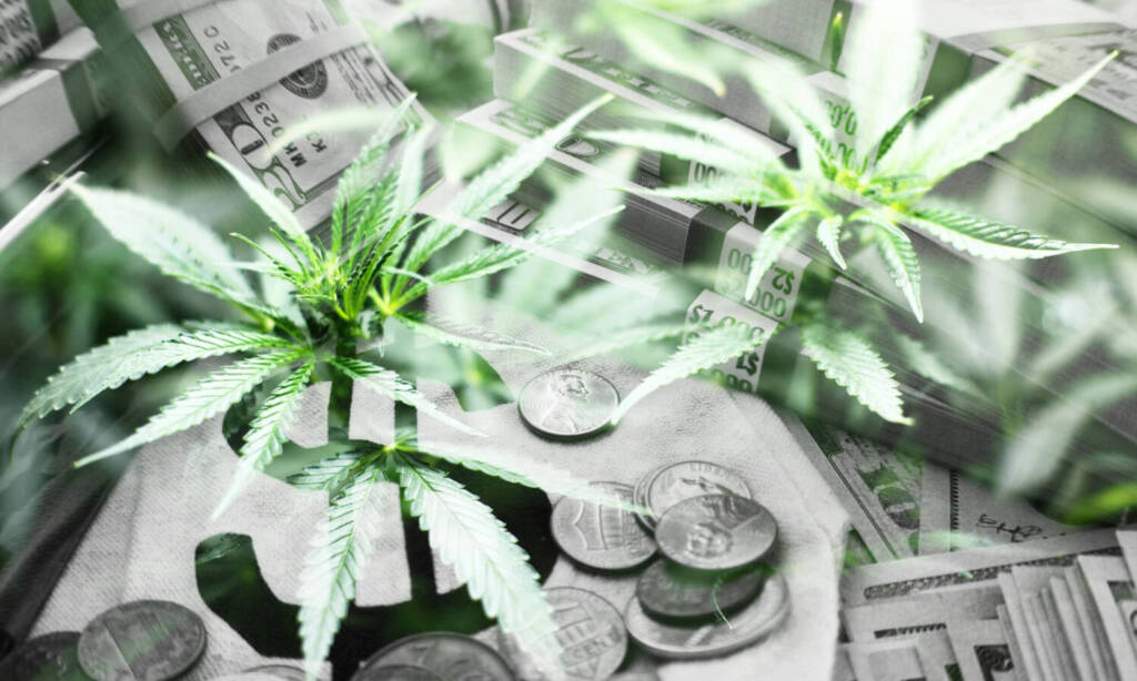 cannabis banking