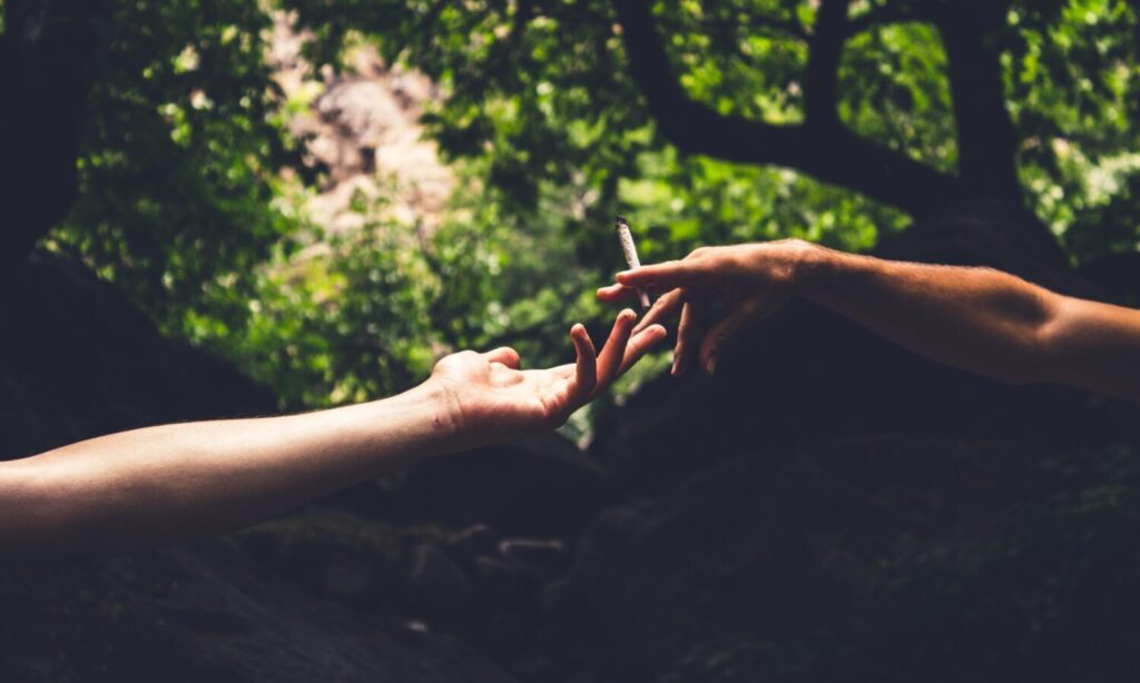 What Does Marijuana Do To Your Immune System?