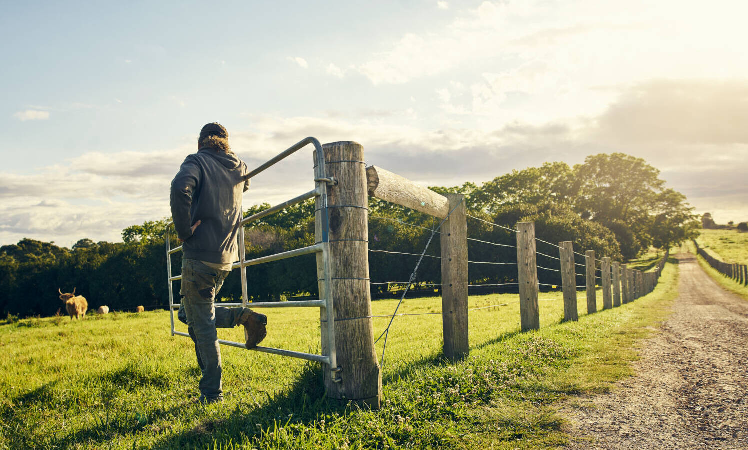 cattle farmer