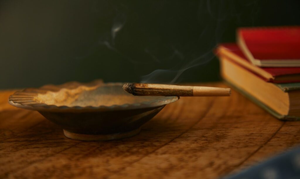 CBD 101: What You Should Expect When Consuming A CBD Dominant Strain