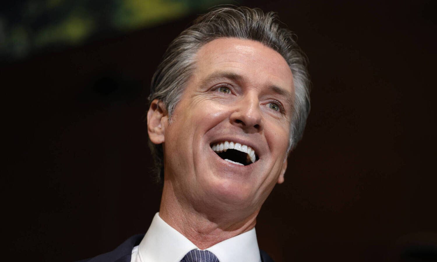 Gavin Newsom