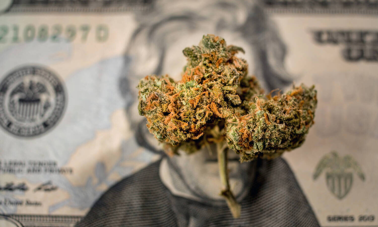 marijuana money