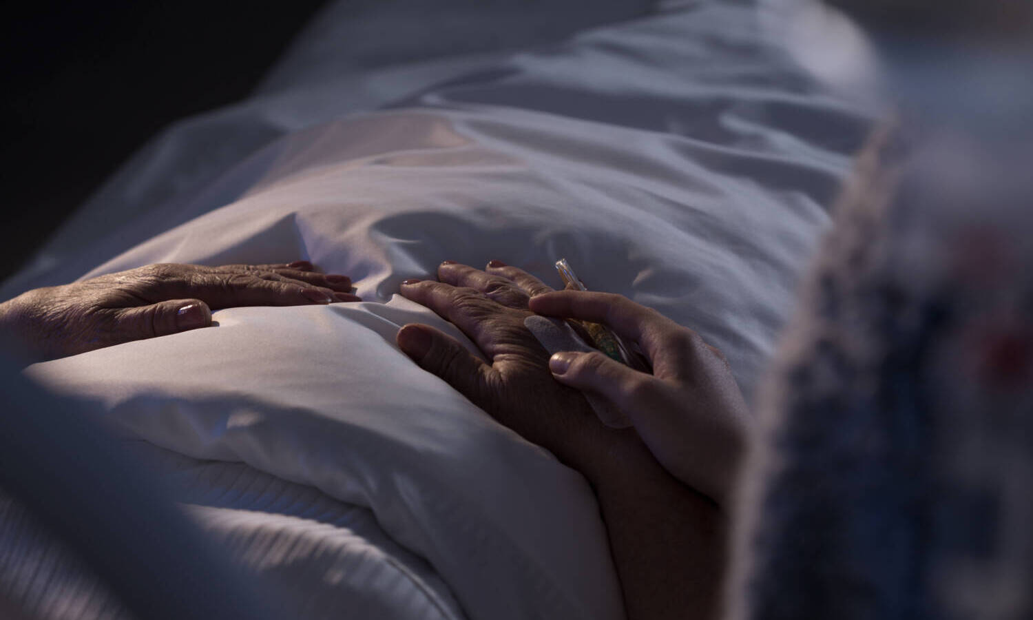hospice terminally ill