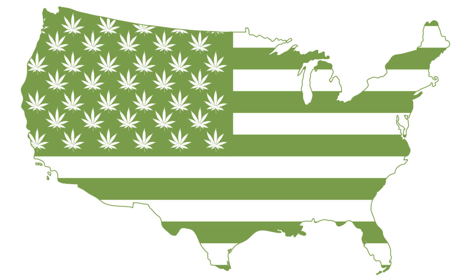 Grading Every State's Medical Marijuana Program