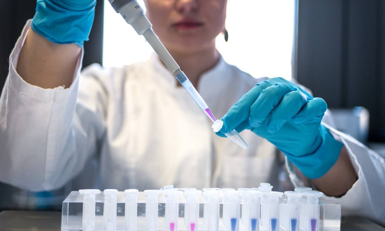 lab