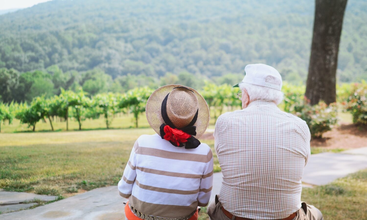 Marijuana Is Not Covered By Medicare Yet 1 In 5 Medicare Patients Use It