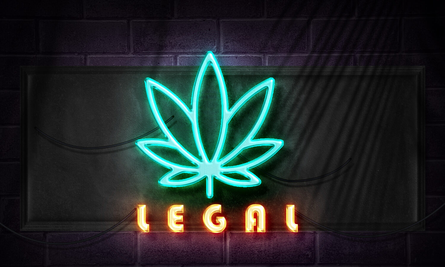 Marijuana Pop Ups Are Having A Moment Right Now