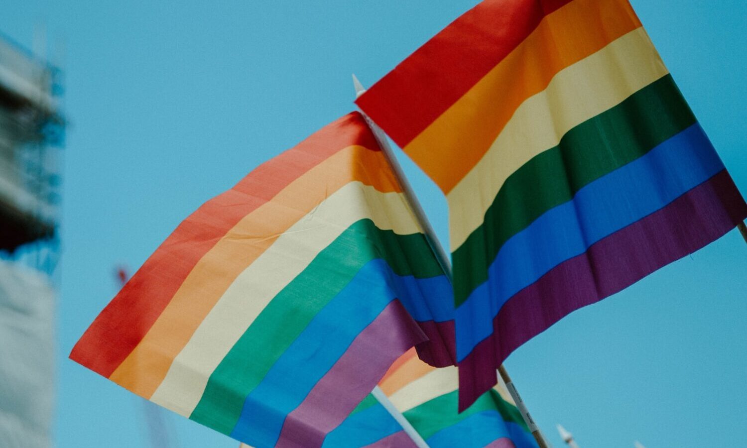 pride flag