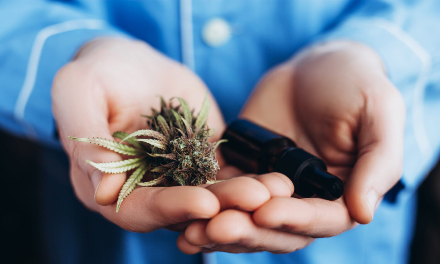 Cannabis Product Survey Highlights How Little Researchers Know About The Plant's Medicinal Effects