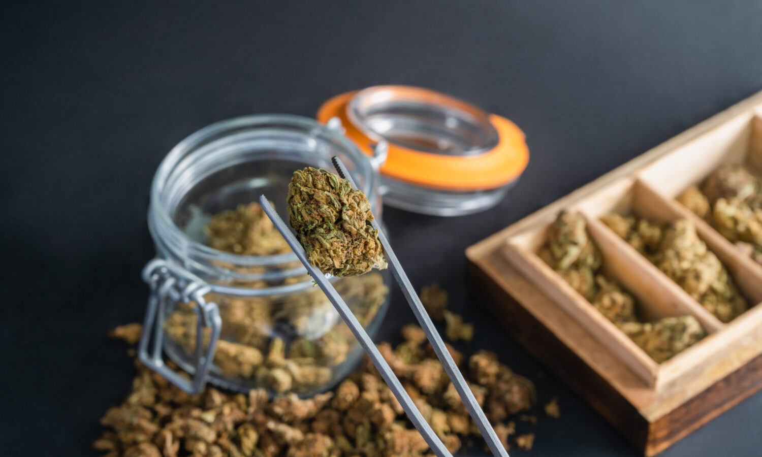 New York To Begin Accepting Cannabis Applications From People Harmed By War On Drugs