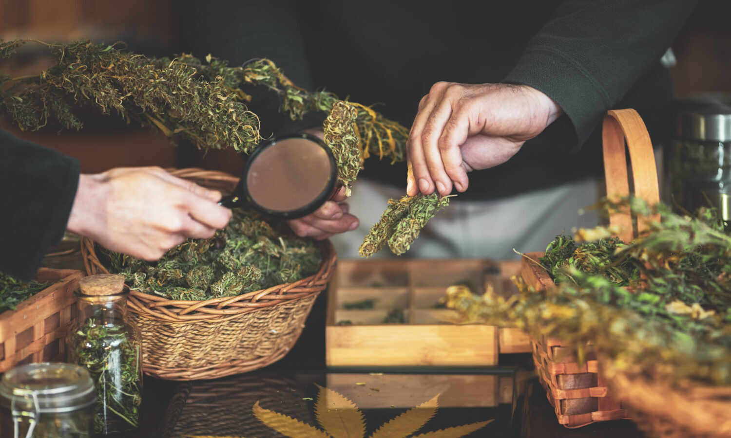 Here's How Many Cannabis Licenses New York Will Initially Award