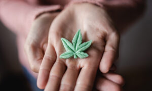 How Cannabis Can Help Calm the Mind and Body
