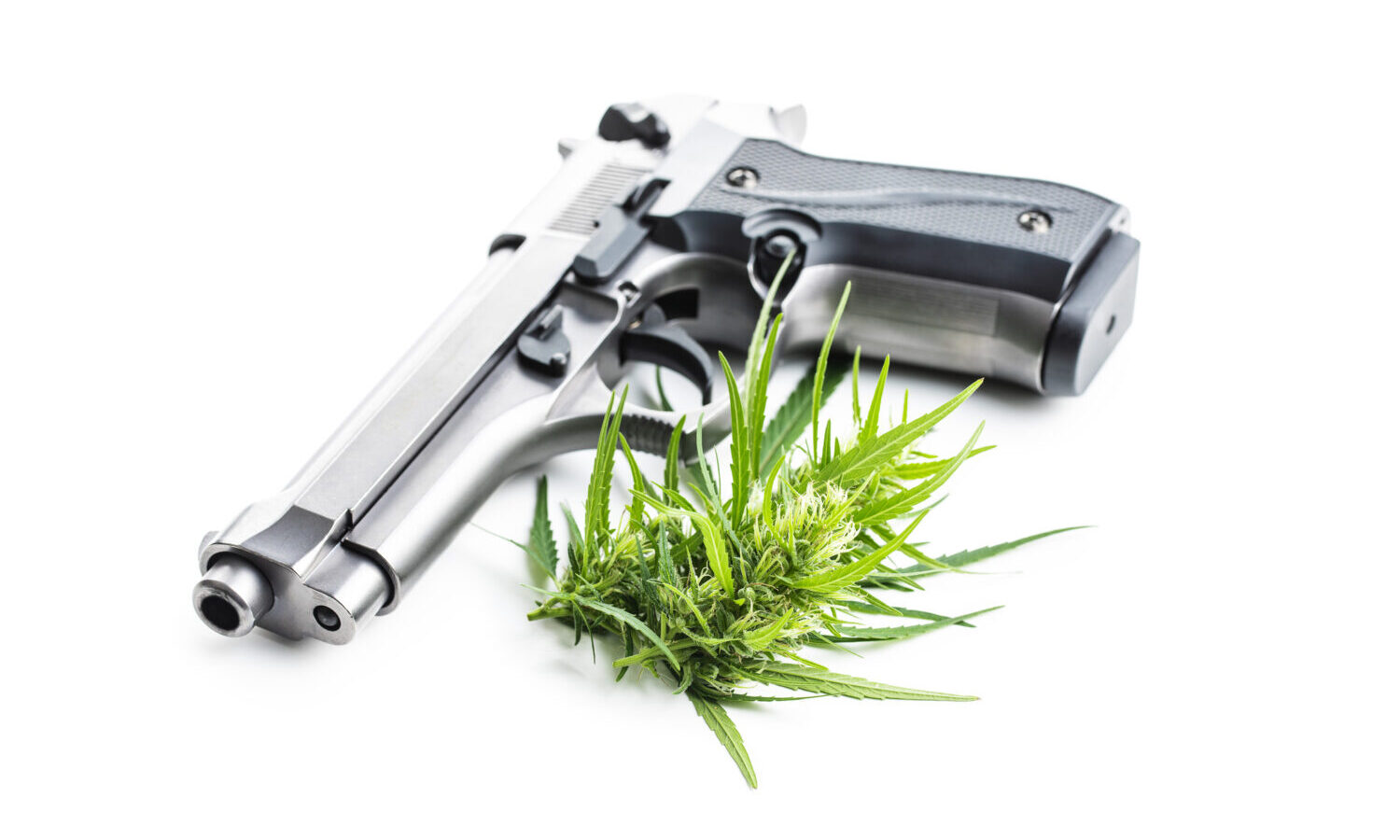 Is There Now a Crack in the Wall Between Cannabis Use and Gun Rights