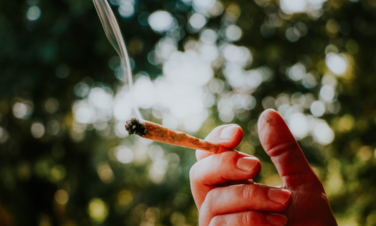 Gas Stations In New York Native Lands Are Selling Marijuana