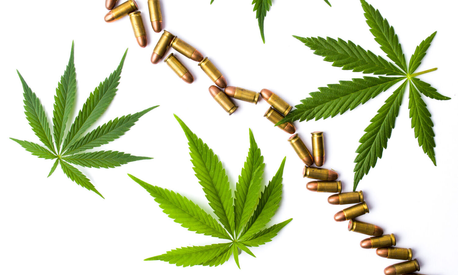 guns and marijuana