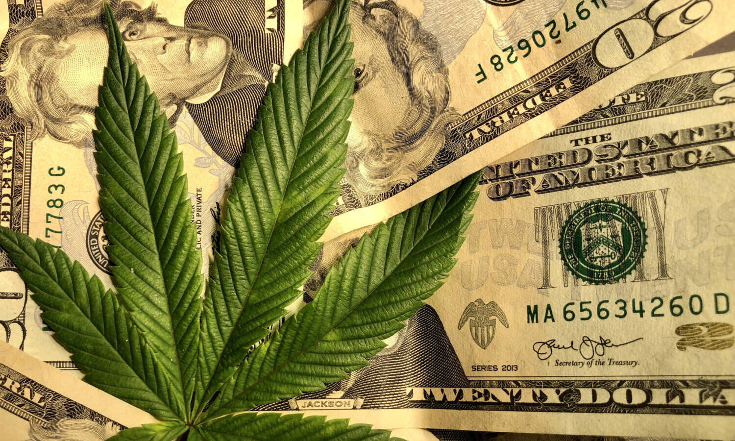 Are States In A Pickle About Cannabis
