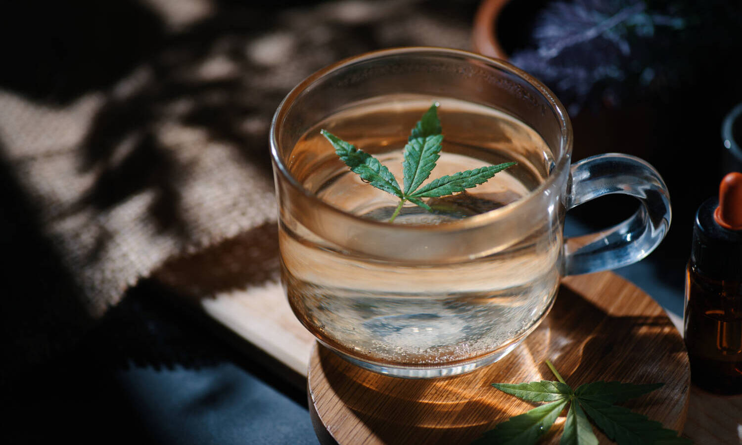 cannabis drink