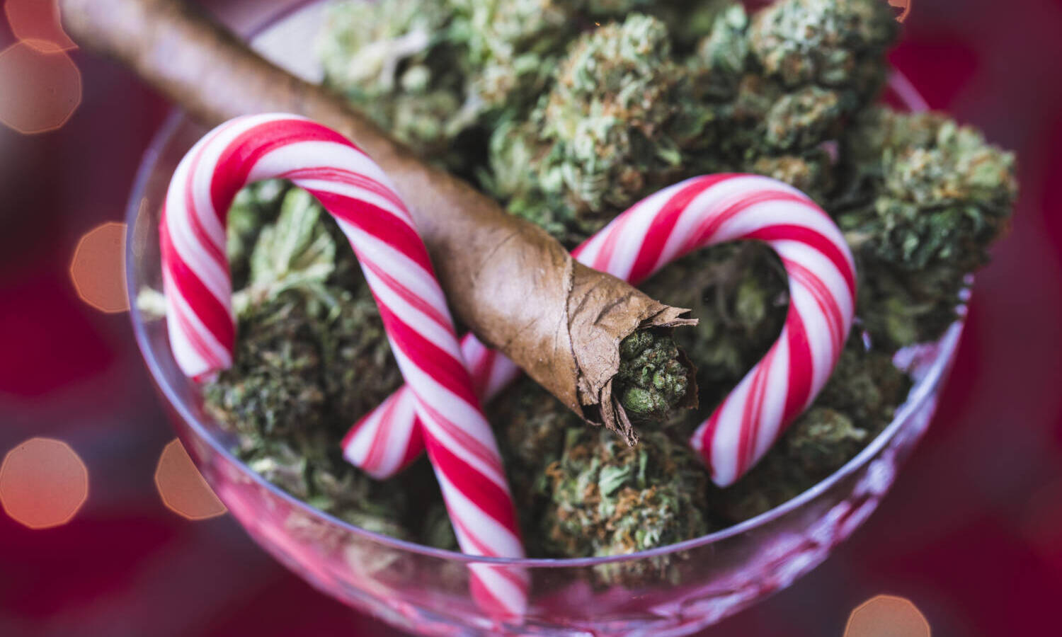 cannabis holidays